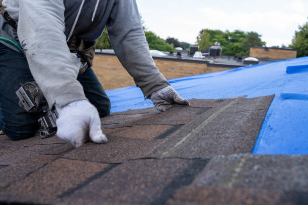 Best New Roof Installation  in Vilonia, AR