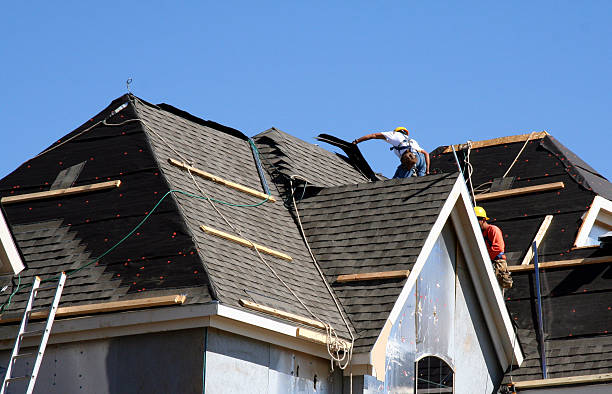 Best Gutter Installation and Roofing  in Vilonia, AR