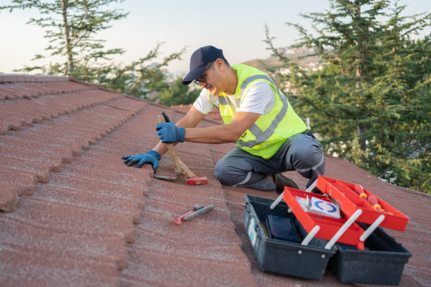 Best Roof Gutter Cleaning  in Vilonia, AR